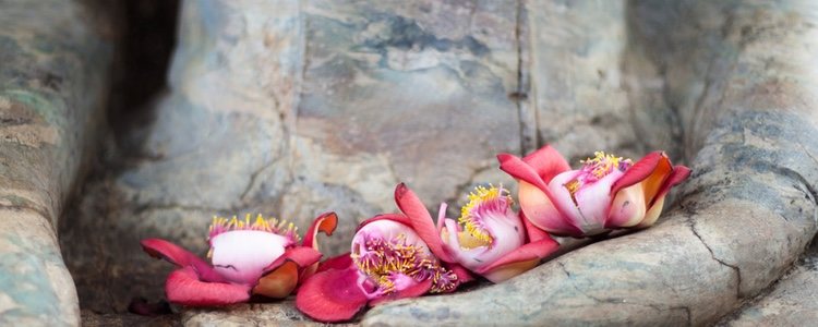 Estatua budista decorada con flores