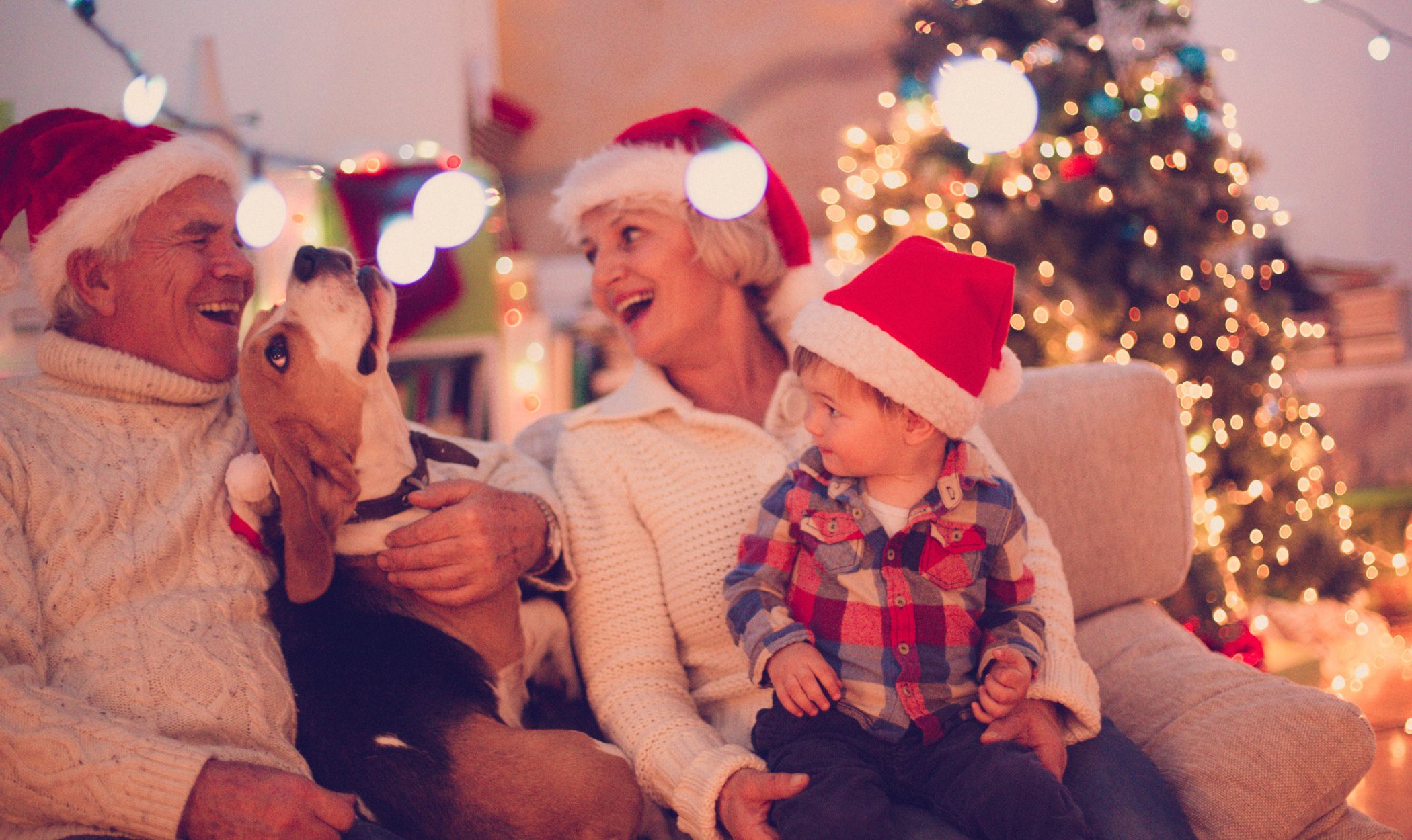 Cómo repartirse la Navidad entre padres y suegros sin crear conflictos  familiares - Bekia Navidad