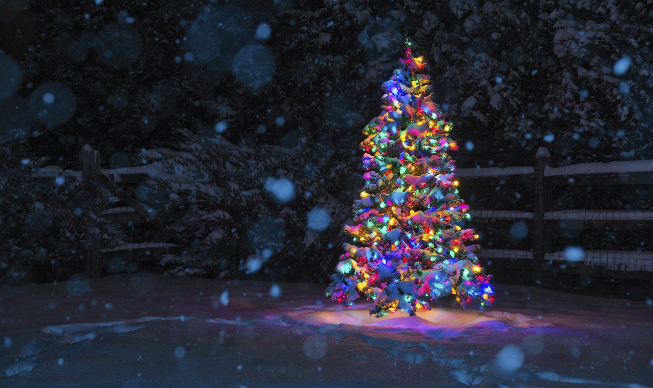 Decorar árboles de Navidad multicolores