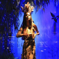 La Princesa Disney Pocahontas vestida por Roberto Cavalli