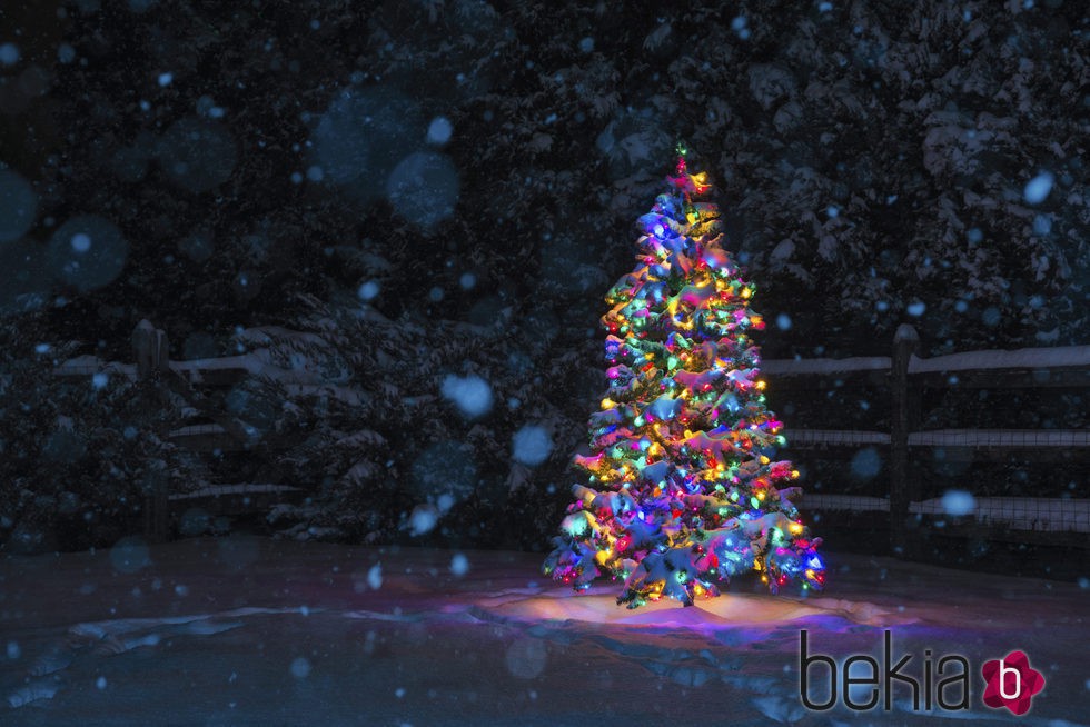 Árbol de Navidad multicolor: un universo lleno de magia e ilusión
