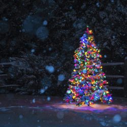 Árbol de Navidad multicolor: un universo lleno de magia e ilusión